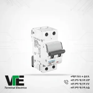 تصویر کلید مینیاتوری هیوندای ۱۰ آمپر دوپل تیپ B/C